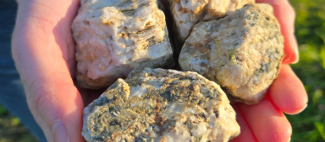 Terroir