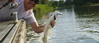 Sébasien FEREY guide de pêche