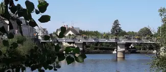 Le Lion d'Angers - 49 - ITI - Photo 1