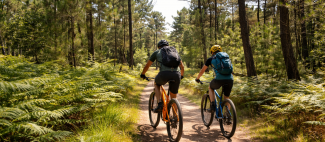 VTT_forêt_Chambiers_Durtal