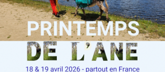 Flyers nature écologie vert et beige (Publication Instagram (4:5)) - 1