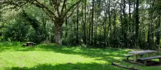 aire-de-pique-nique-espace bikini-sev-saint crepin sur moine-osez-mauges-©A.R (3)