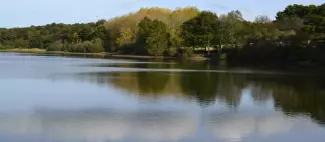 Aire de pique-nique étang de Péronne - Chanteloup les bois_1