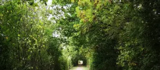 allee-balade-etang-thevinière-geste-bem-anjou ©JB