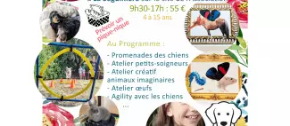 Atelier avec les Animaux_1
