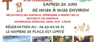 atelier petit soigneur _1