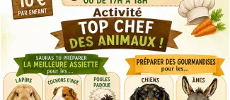 atelier-petit-soigneur-animalier-la-tessoualle-49_1