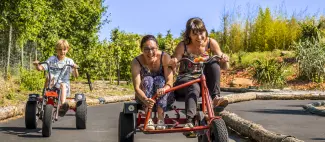 Kart à pédales Natural Parc