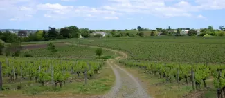 LES MALECOTS