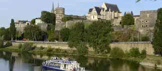 bateau-hirondelle-activite-incentive-angers_1