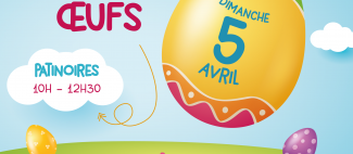 chasse-aux-oeufs-glisseo-cholet-49_1