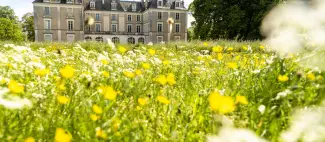 Château du Couboureau