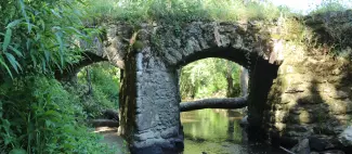 Le Circuit des Jonquilles_1