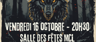 concert-punk-chanteloup-les-bois-49_1