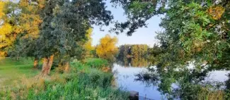 Etang Thivenière