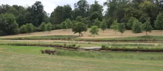 De l'Uzelière aux Landes_1