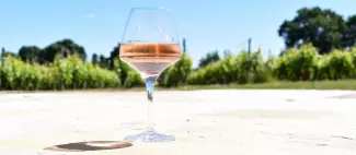 Domaine de la Clartière à Nueil-sur-Layon_1