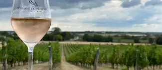 domaine-pélican-la-pommeraye-mauges-sur-loire