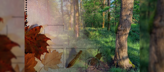 Rendez-vous Nature : inventaire d'un ENS à découvrir - Crête du Puy St-Bonnet_1