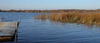 Etang des Noues Cholet_1