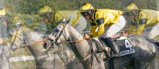 expo-photo-maulevrier-49_1