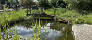 ferme aquacole morannes