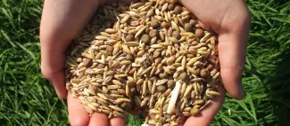 ferme-de-la-blairie-châtelais-49-deg-photo5