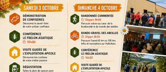 fête des abeilles 1