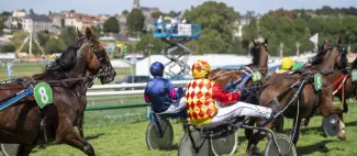 fete-petite-agevine-course-chevaux-jockey-bem-beaupreau-osezmauges-anjou-©D.Drouet