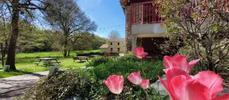 guinguette-au-moulin-drapras-chemillé