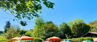 guinguette-boire-drain