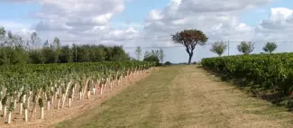 Portes ouvertes Domaine Beauregard
