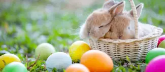 Chasse aux oeufs AGRIKIDS