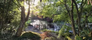 jardin-jeanot-latessoualle-49_1