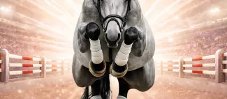 jumping de cholet_1