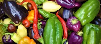 le-jardin-inari-challain-la-potherie-49-deg-photo3