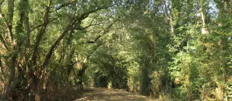 Le sentier du Pont Moreau_1