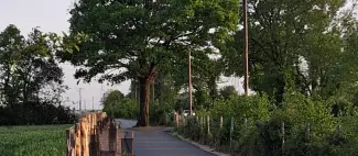 Liaison entre La Séguinière et Saint-Léger-sous-Cholet_1