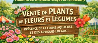 marché printemps morannes