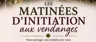 Matinées d'initiation aux vendanges au Domaine des Trois Monts_1