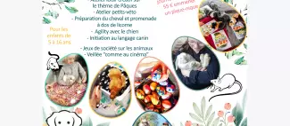 Mini-camp avec les animaux_1