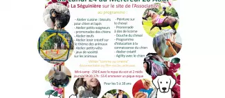 Mini-camp la bonne patte _1