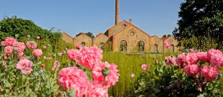 Musée du Textile et de la Mode_1