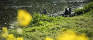 nature-peche-canne-pecheur-loire-osezmauges-anjou--D