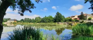 passavant-sur-layon-c-nathalie-jeanneteau_1
