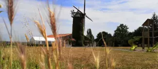 paysage-moulin-epinay-la-chapelle-st-florent-anjou2