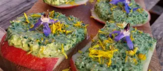 pesto à l'ail des ours