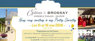 Portes Ouvertes au Château de Brossay_1