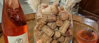 portes-ouvertes-domaine-dela-cambuse-drain