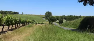 Promenons-nous à Trémont_1